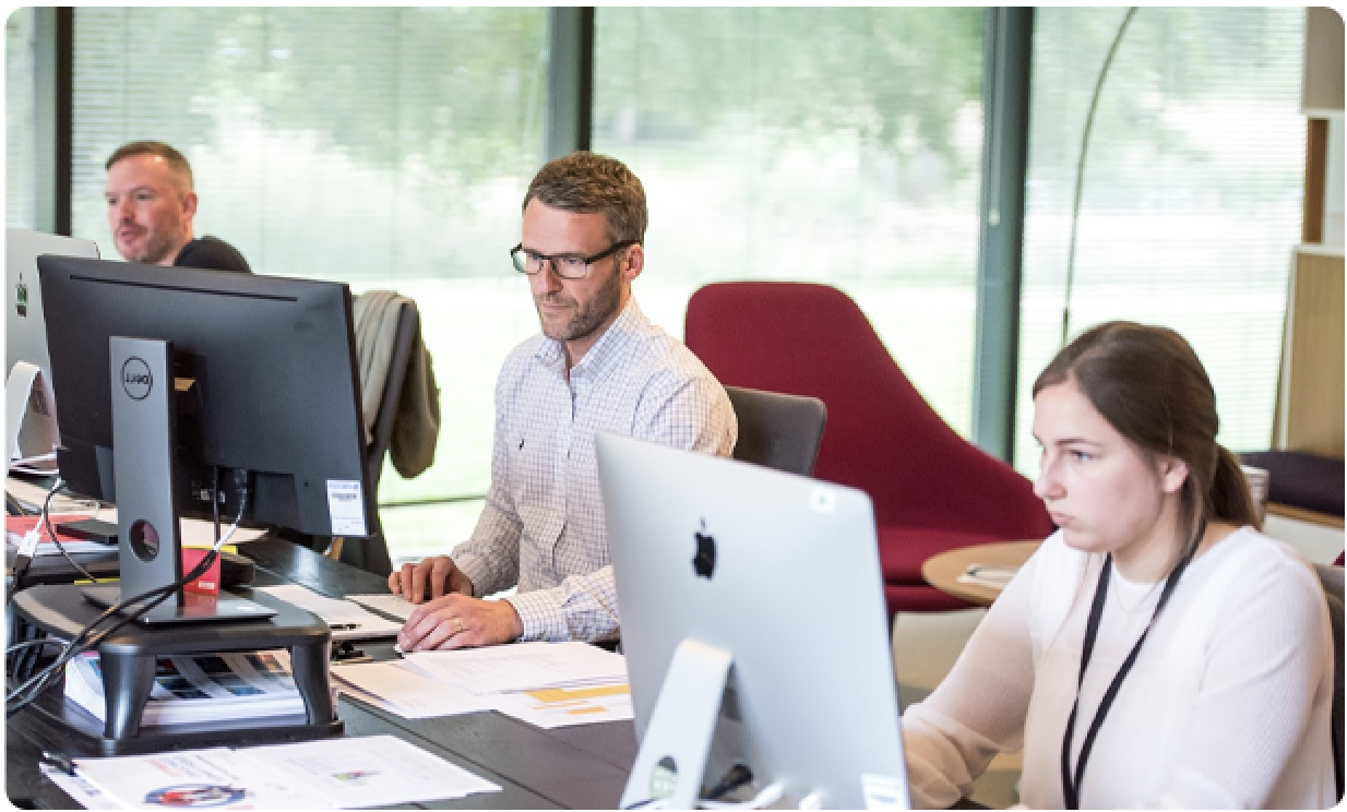 Our experts work for you